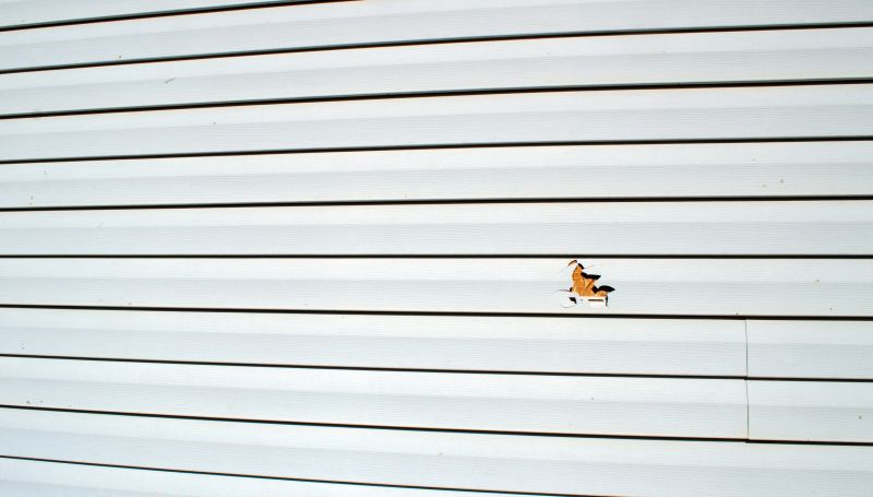 Removing Old Vinyl Siding